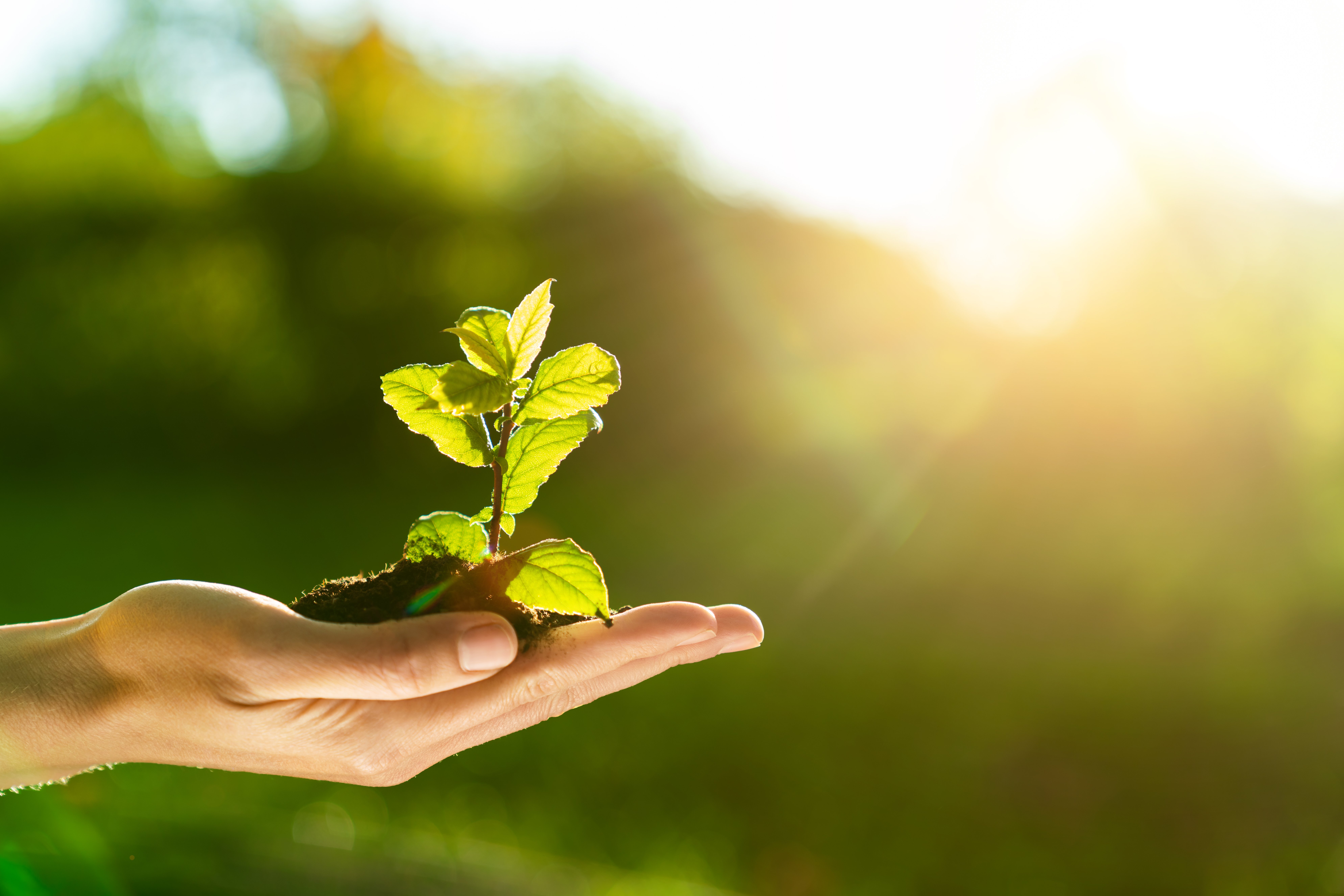 iStock-1320343044
